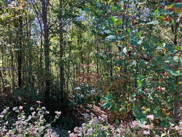 $47,900 | 28-29 Sanctuary Drive, Murphy, NC 28906