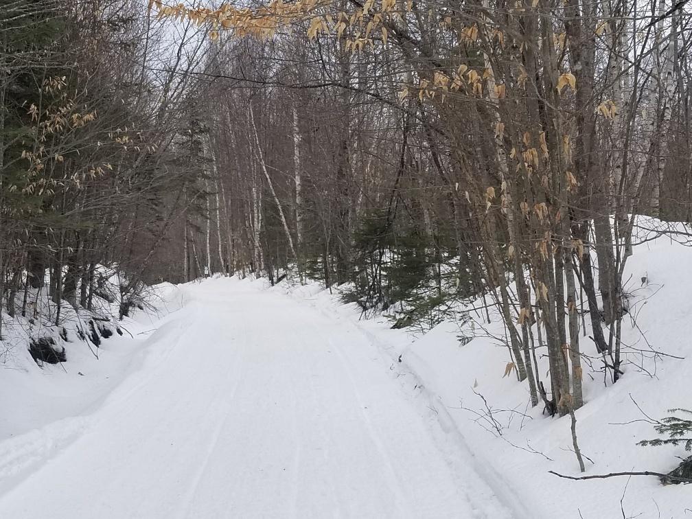 0 Hobbstown Road Milo, ME 04463 - Photo 25 of 30 Hobbstown Road west boundary