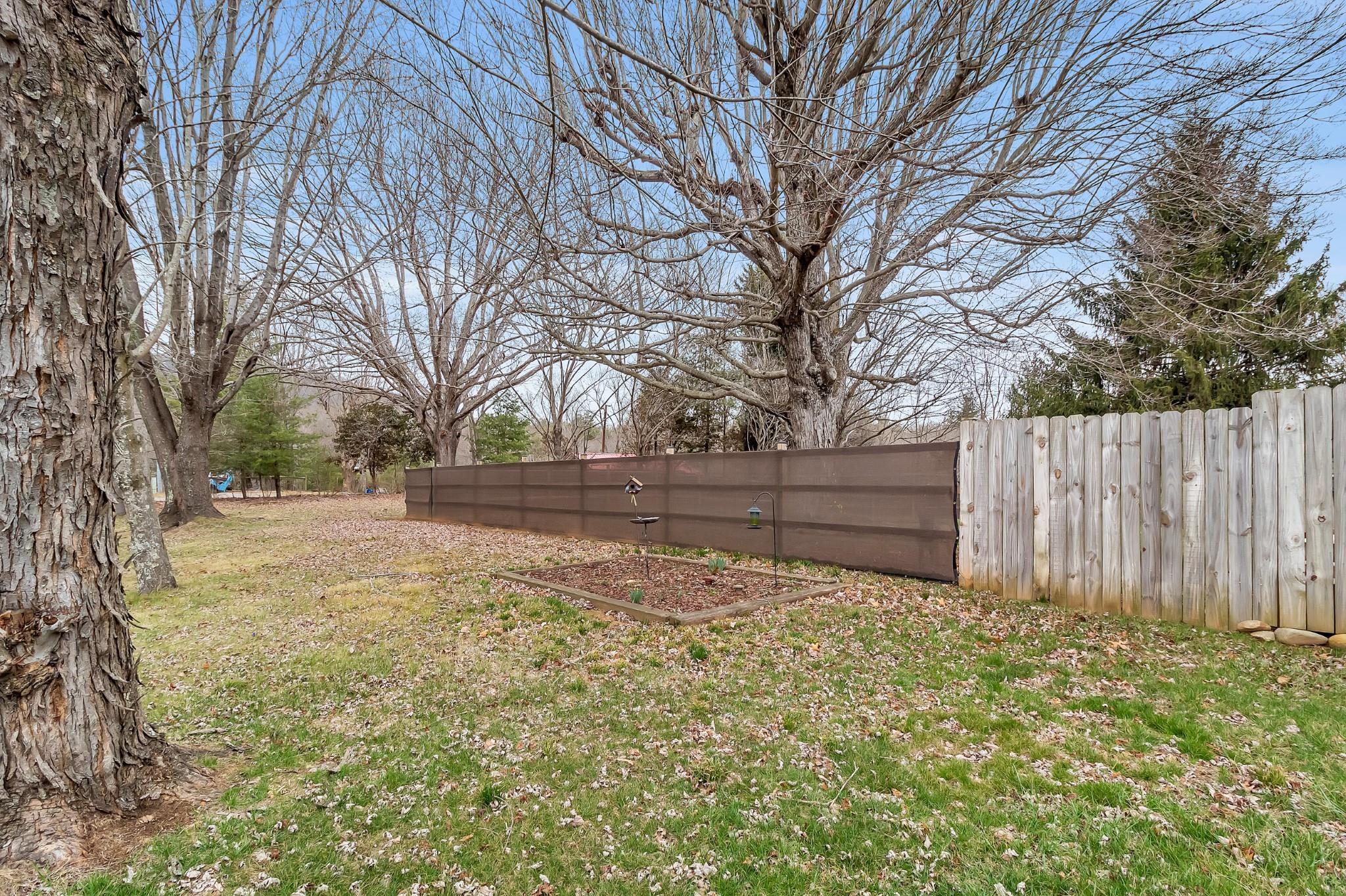 670 Thompson Cove Road Clyde, NC 28721 - Photo 29 of 45 a view of backyard with wooden fence and large trees