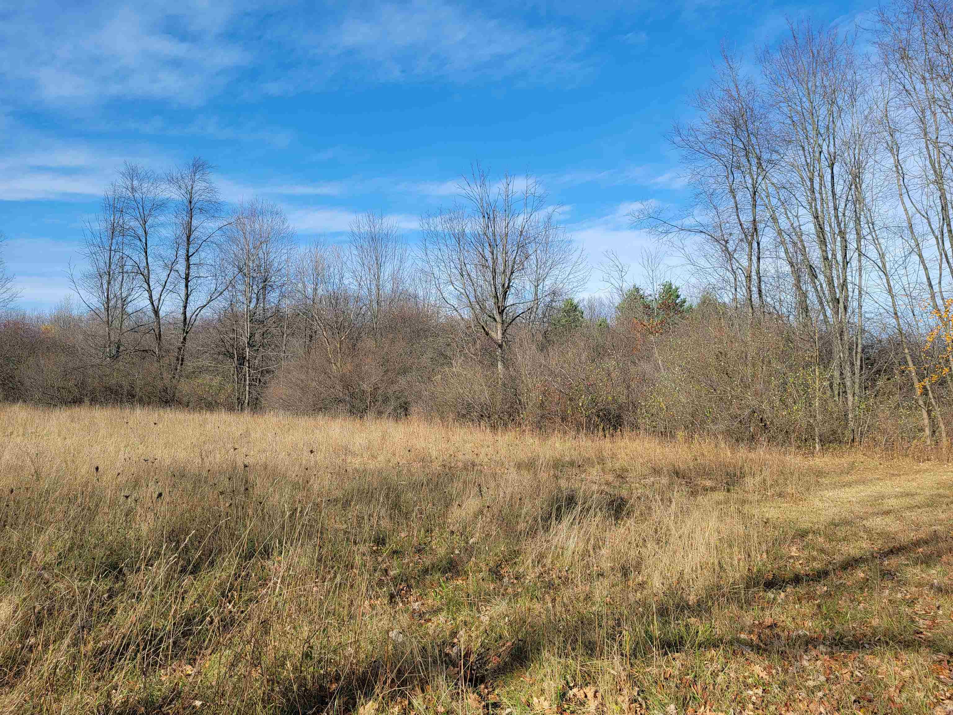 5185 North Center Road Flint, MI 48506 - Photo 55 of 65