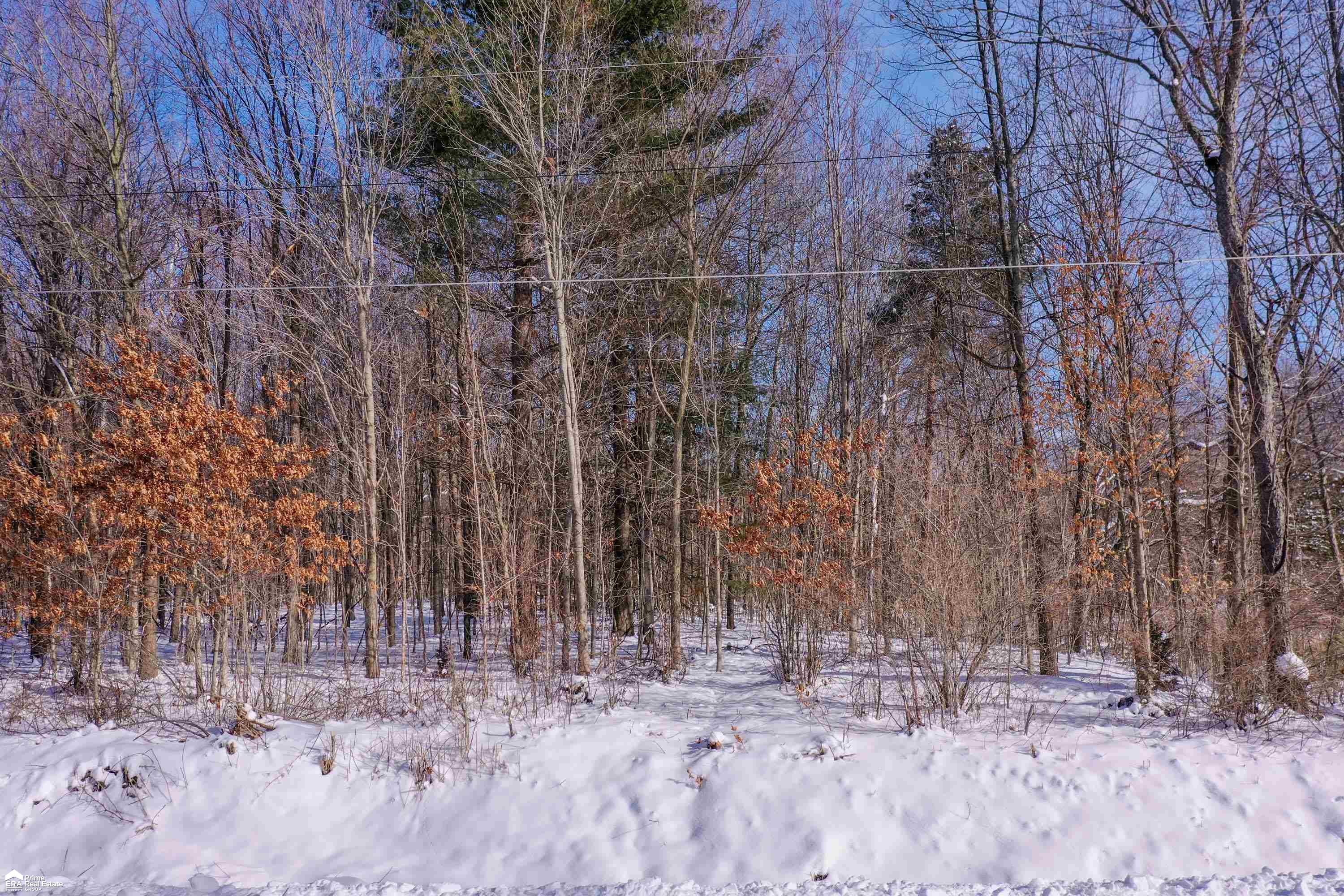 V/l River Grove Road Flushing, MI 48433 - Photo 2 of 10