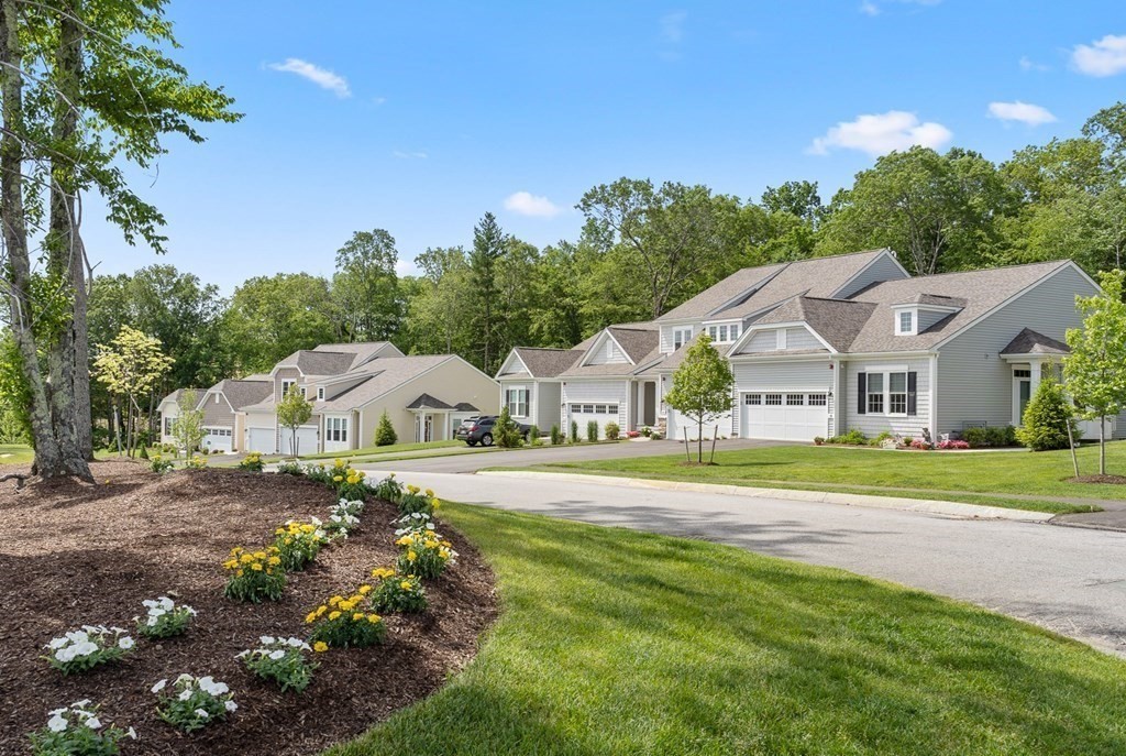 a view of a big house with a big yard plants and large trees