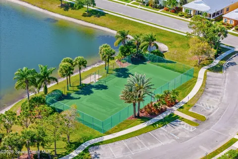 a view of a flower in a garden