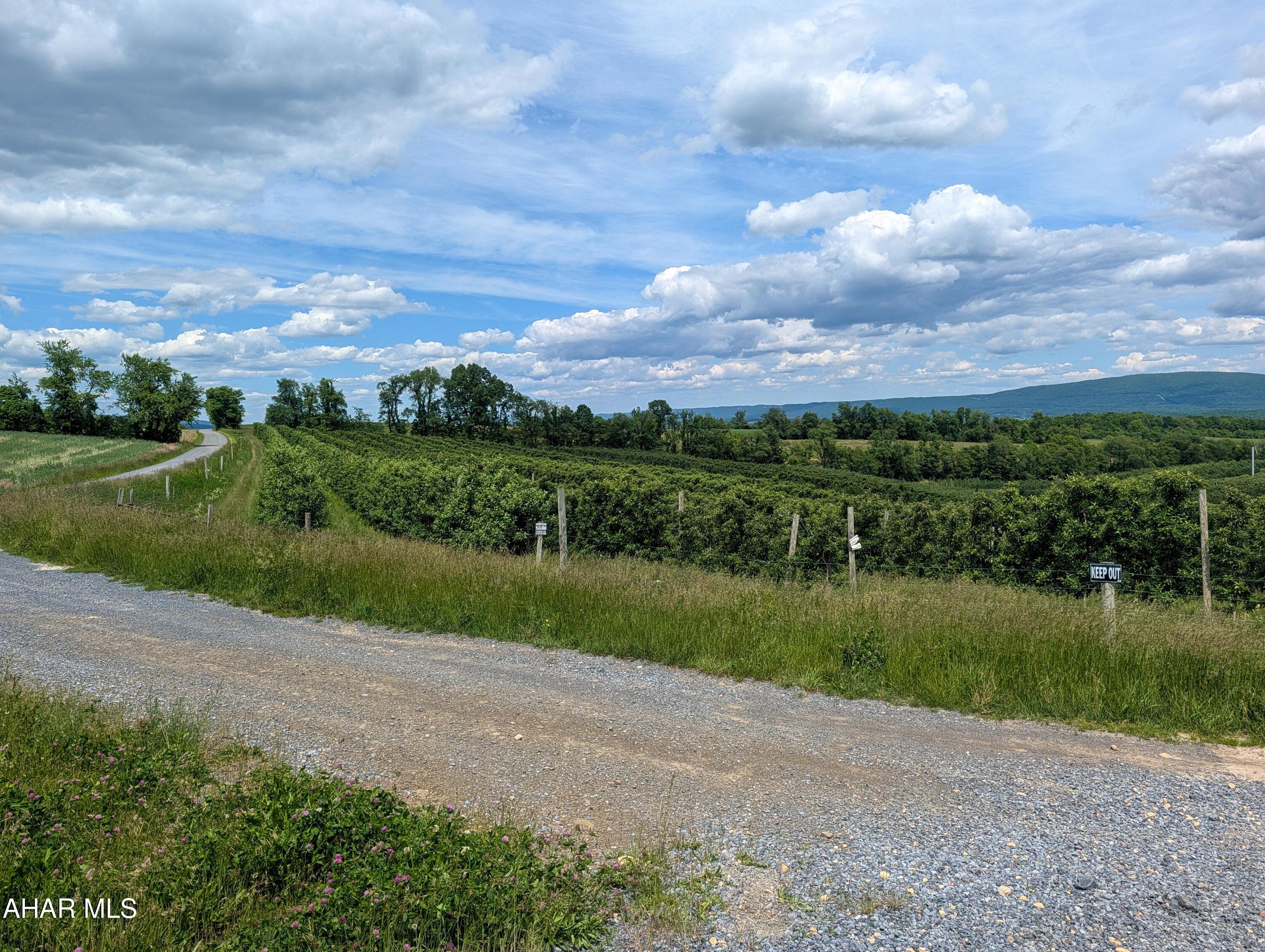 Off Of Grange Hill Road Fishertown, PA 15539 - Photo 2 of 24