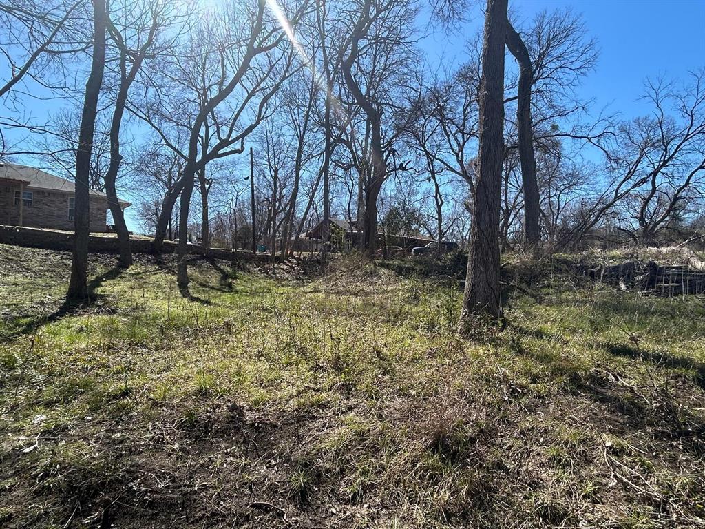 1 Hart Street Wilmer, TX 75172 - Photo 6 of 8 View of local wilderness