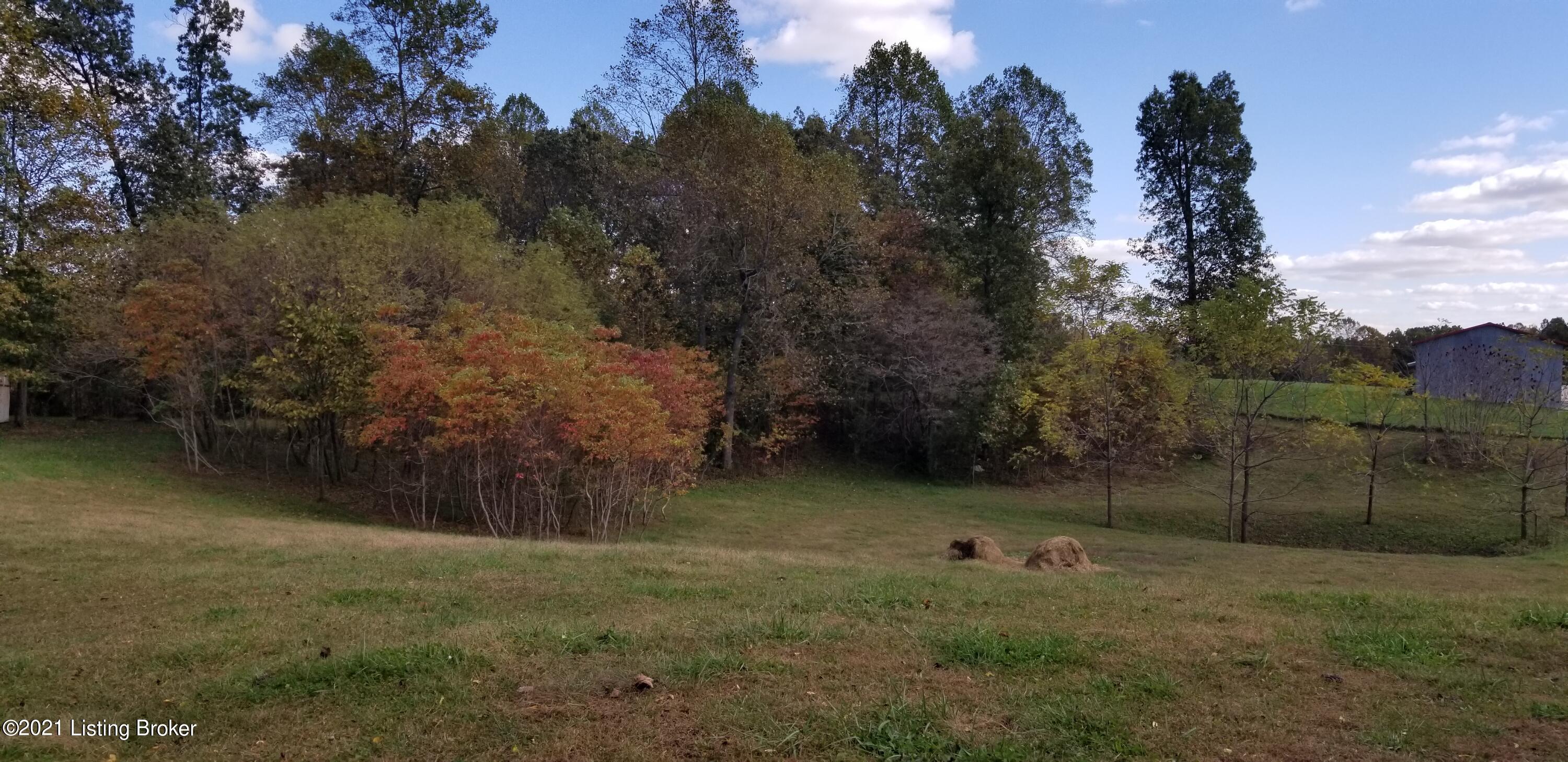 3927 Salt River Road Rineyville, KY 40162 - Photo 6 of 31 20211026_134409