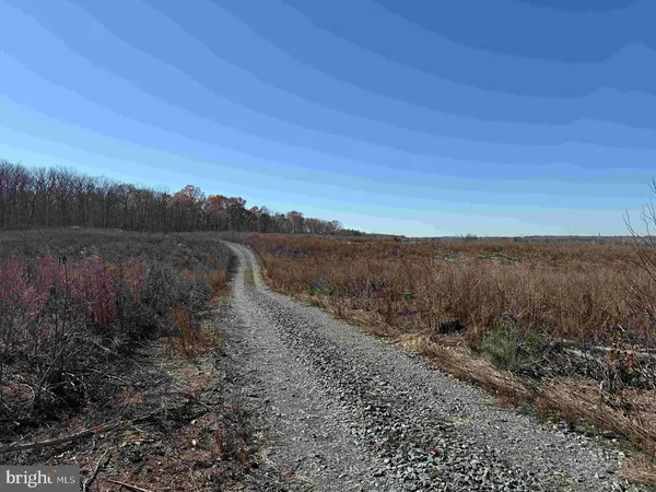 a view of a dry yard with trees