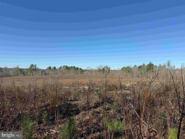 a view of a city with lush green forest