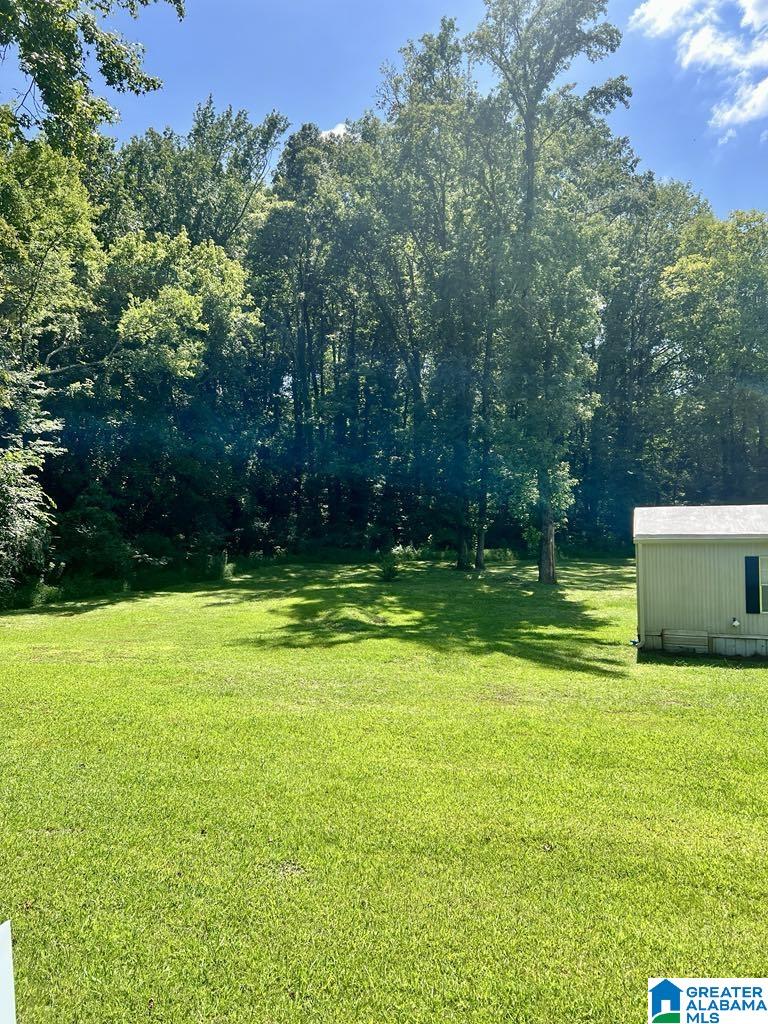 478 Ledbetter Road Anniston, AL 36201 - Photo 20 of 20