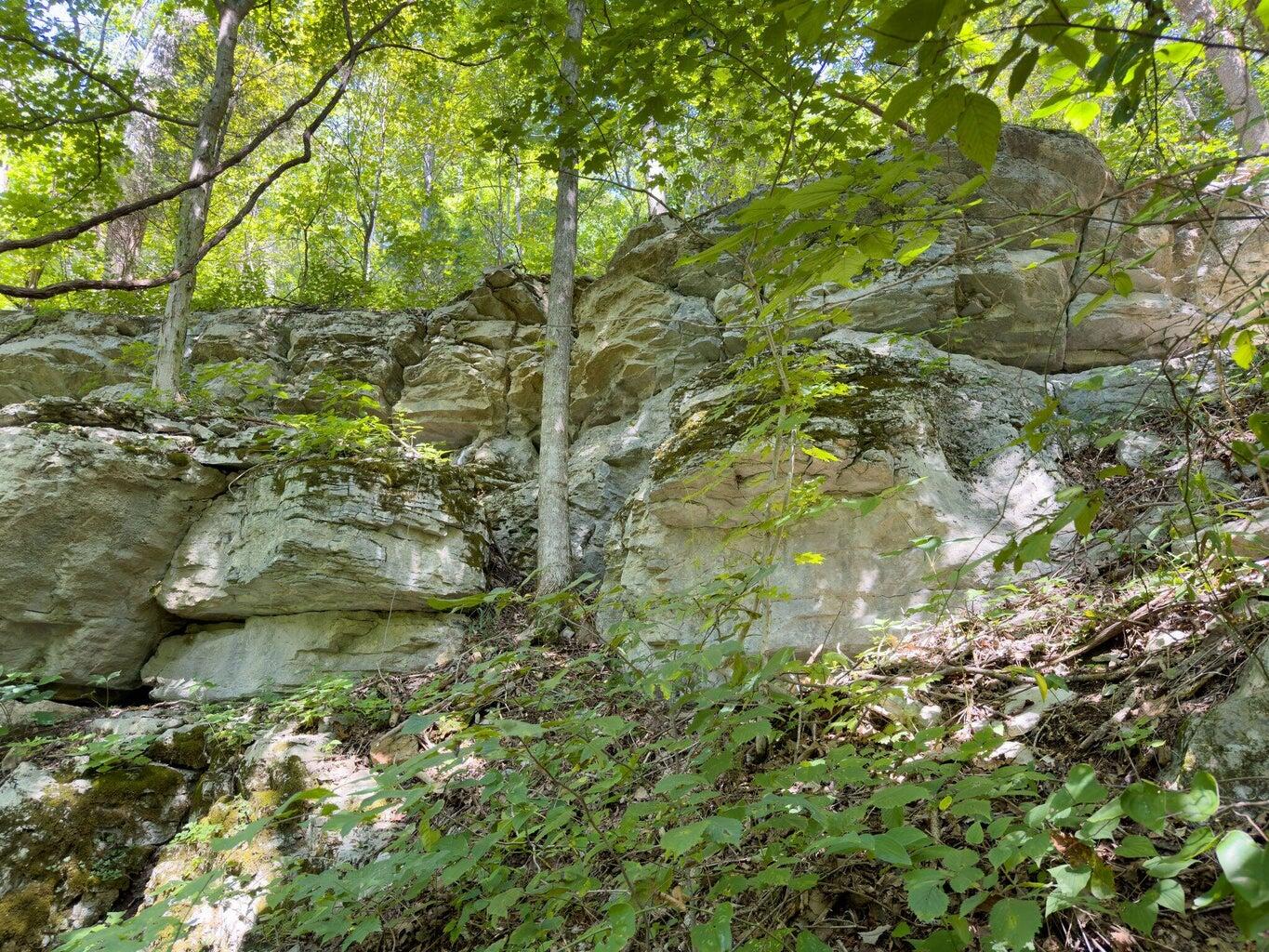 9999 Sunrise Valley Road, Unit TRACT 3 Irvine, KY 40336 - Photo 20 of 24 WW 31