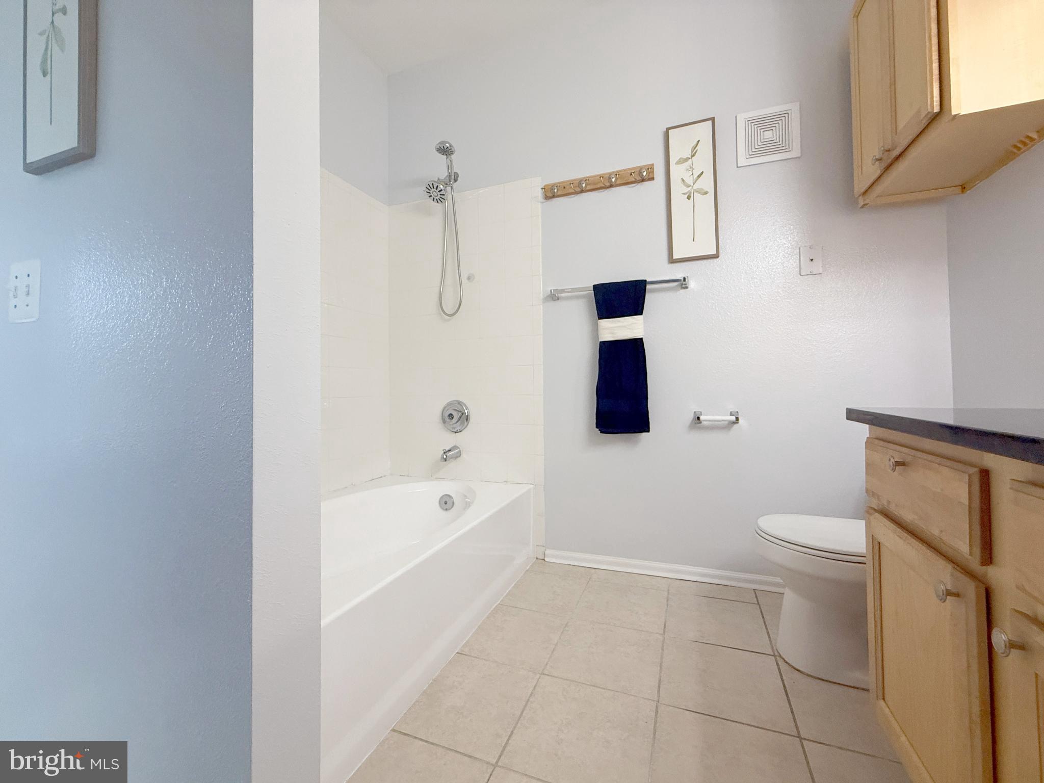 1530 Spring Gate Dr., Unit 9317 McLean, VA 22102 - Photo 26 of 55 Modern bathroom with clean lines and light.
