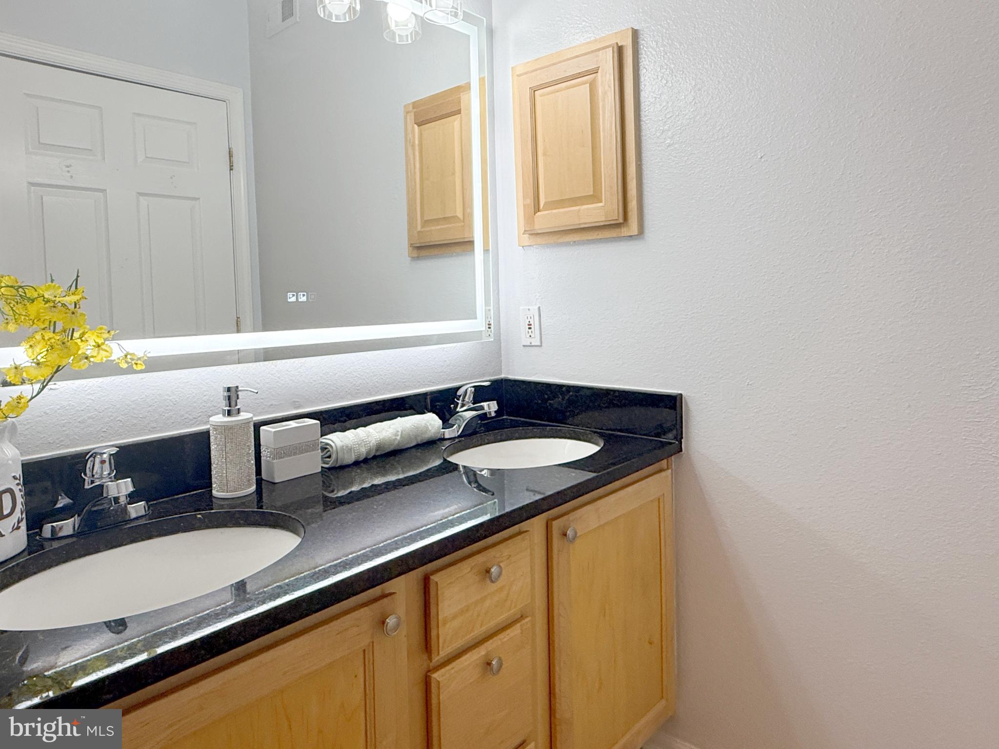 1530 Spring Gate Dr., Unit 9317 McLean, VA 22102 - Photo 39 of 55 Elegant dual-sink bathroom with modern finishes.