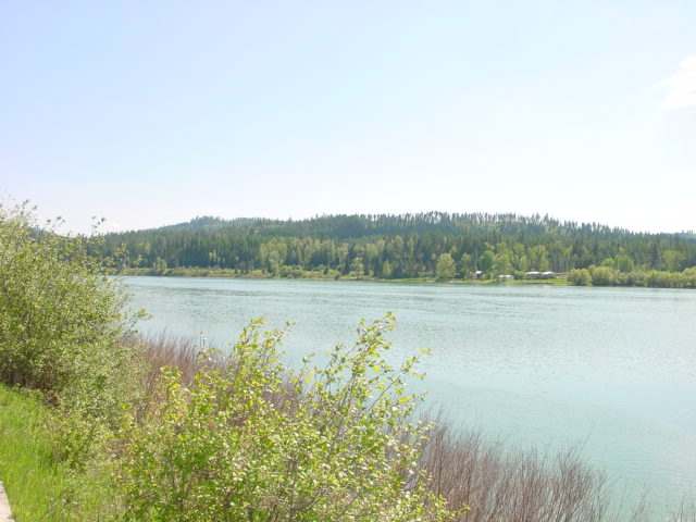0 Open Skies Road Newport, WA 99156 - Photo 5 of 6 Gallery Image 5