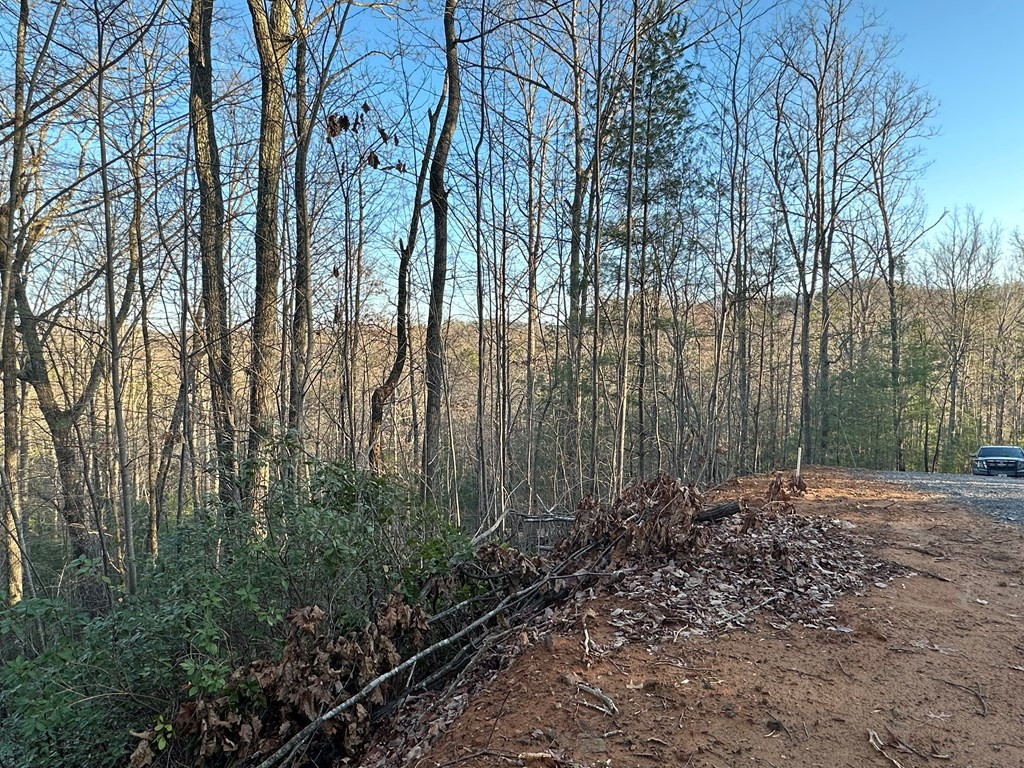 Lot 11 Elisi Vly Road Murphy, NC 28906 - Photo 6 of 9