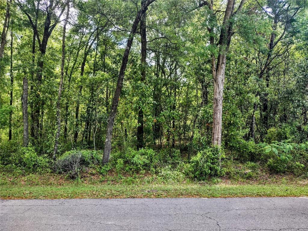 Tbd Northeast 12th Street Williston, FL 32696 - Photo 2 of 6