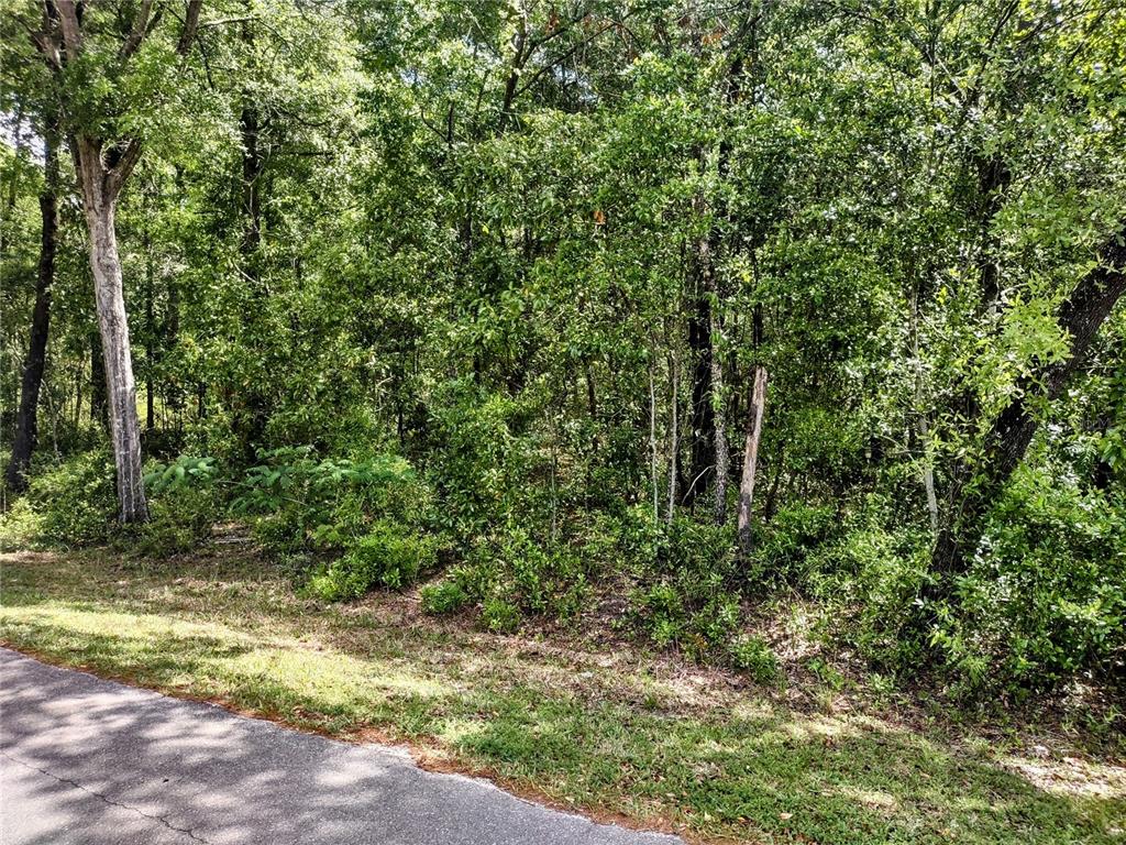 Tbd Northeast 12th Street Williston, FL 32696 - Photo 3 of 6