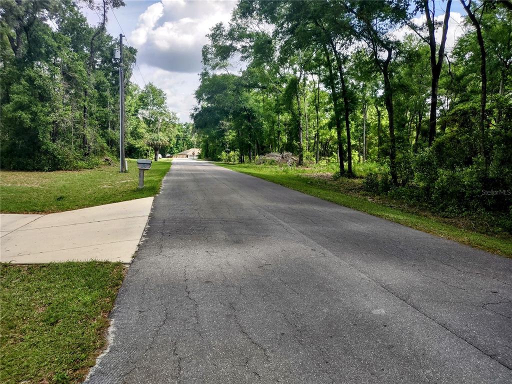 Tbd Northeast 12th Street Williston, FL 32696 - Photo 4 of 6