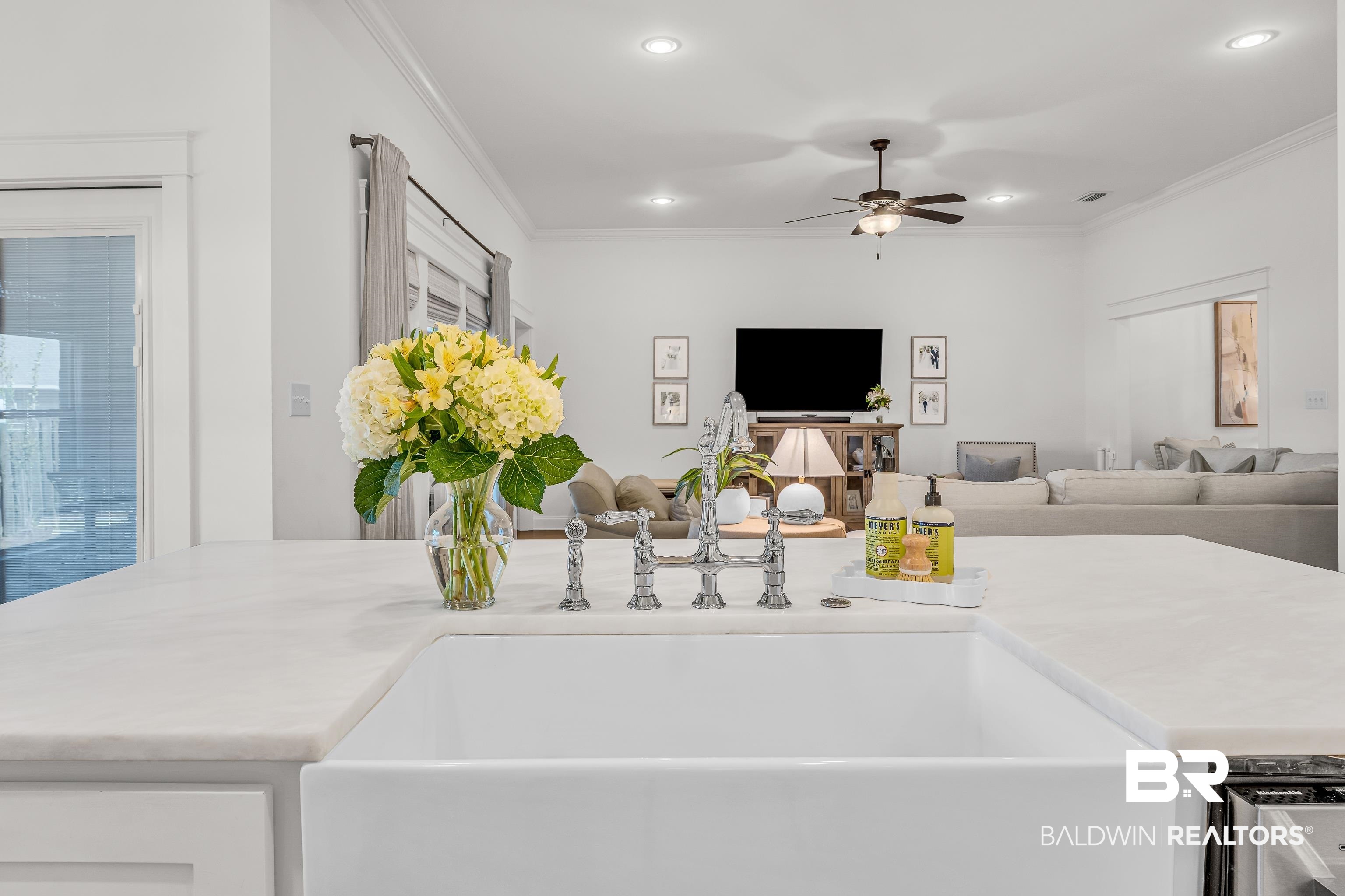 243 Hawthorne Circle Fairhope, AL 36532 - Photo 10 of 37 Farmhouse Sink