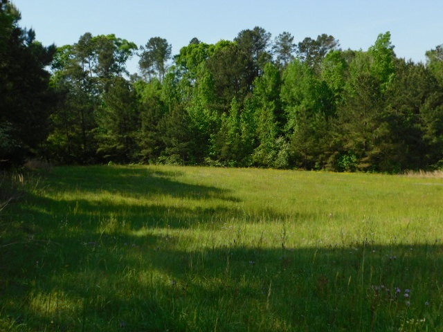 39083 Perrett Road Hazlehurst, MS 39083 - Photo 7 of 15 Photo 7