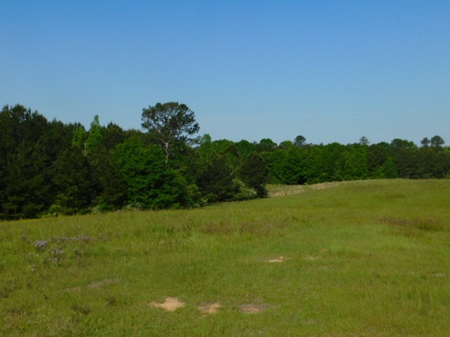 39083 Perrett Road Hazlehurst, MS 39083 - Photo 8 of 15 Photo 8
