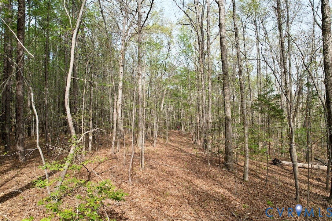 3300 Plank Road Kenbridge, VA 23944 - Photo 12 of 20