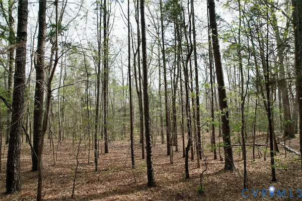 a view of outdoor space with lots of trees