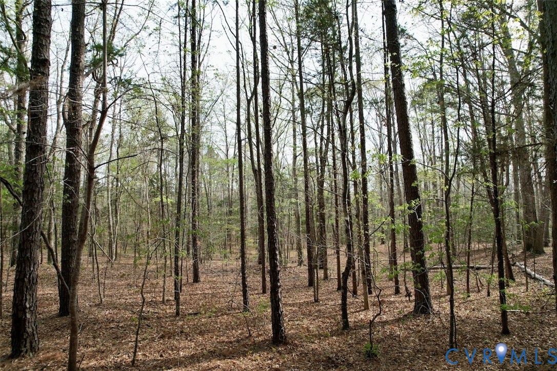 3300 Plank Road Kenbridge, VA 23944 - Photo 13 of 20