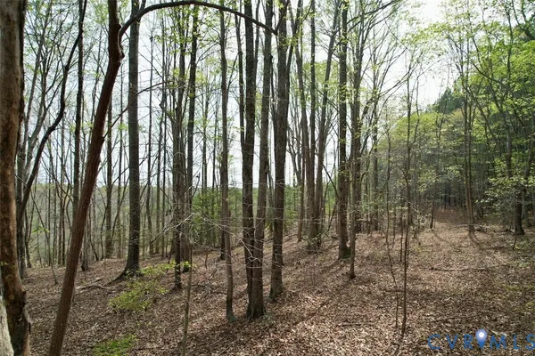 a backyard of a house with lots of trees