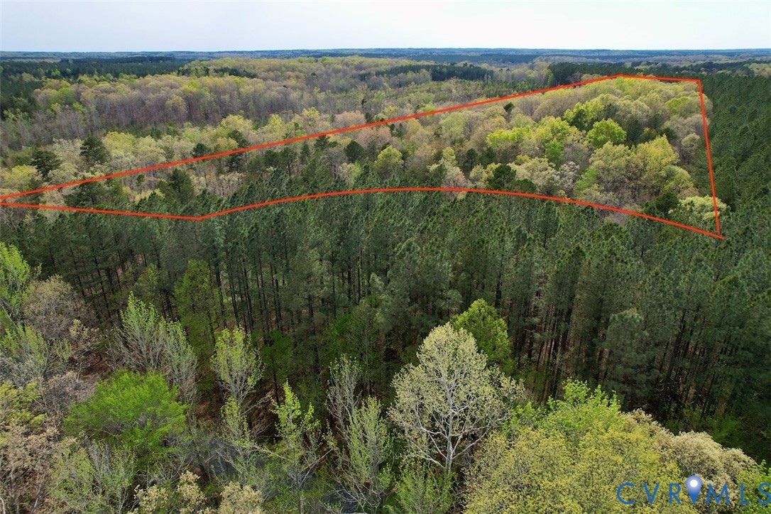 3300 Plank Road Kenbridge, VA 23944 - Photo 3 of 20