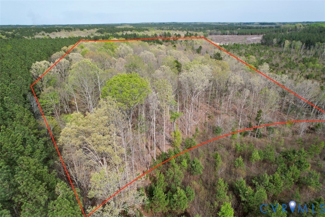 3300 Plank Road Kenbridge, VA 23944 - Photo 5 of 20