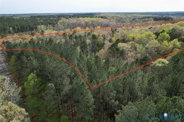 an aerial view of forest
