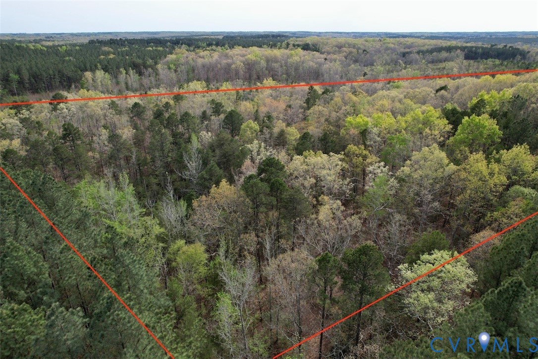 3300 Plank Road Kenbridge, VA 23944 - Photo 8 of 20