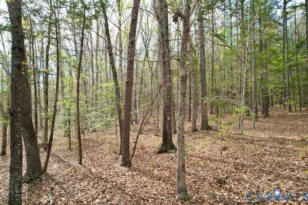 a view of outdoor space with lots of trees