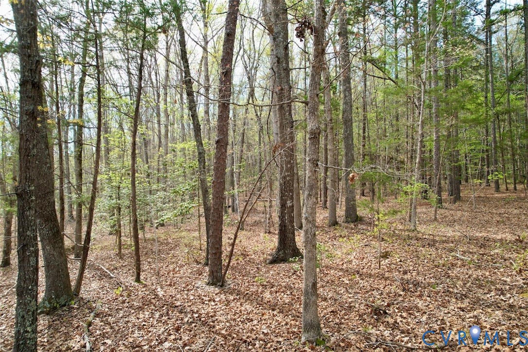 3300 Plank Road Kenbridge, VA 23944 - Photo 10 of 20