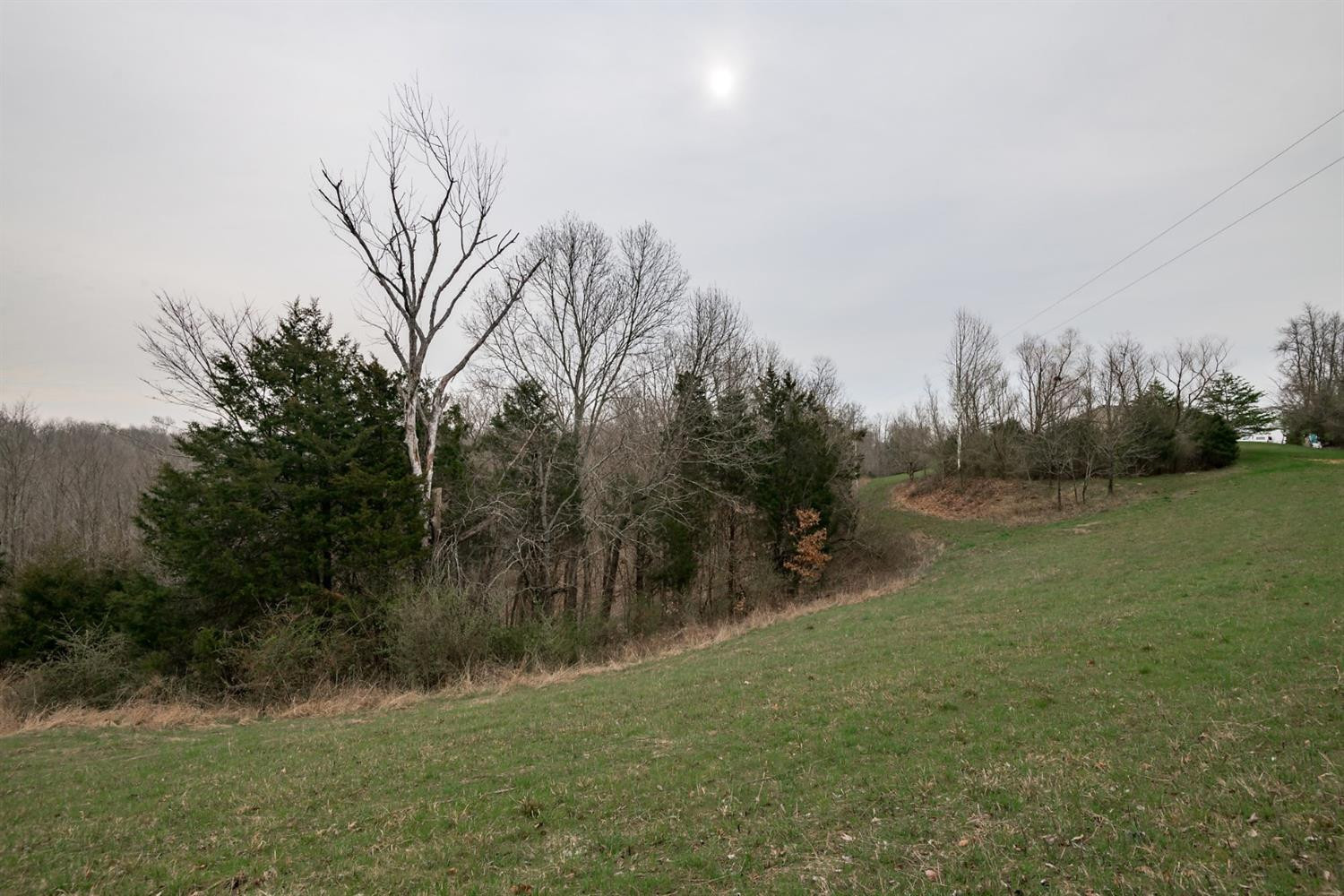 1255 Corinth Road Lawrenceburg, KY 40342 - Photo 23 of 38 Photo 23