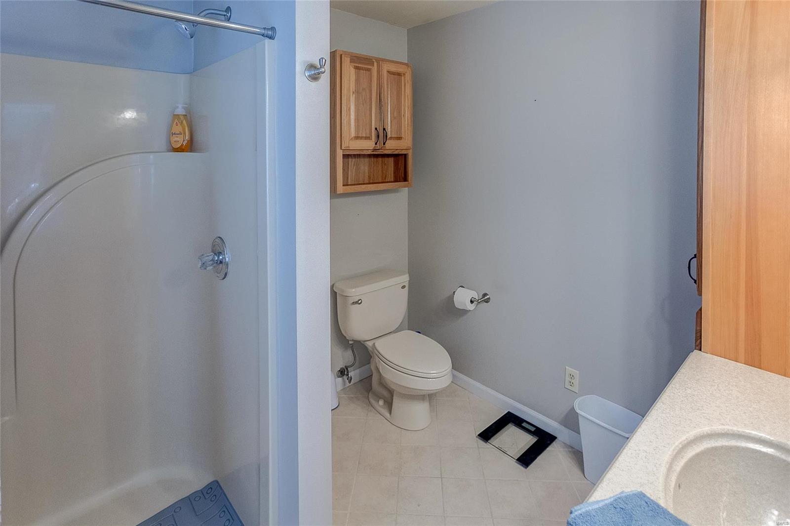 259 South Breidecker Street Columbia, IL 62236 - Photo 39 of 51 Gallery Image 39