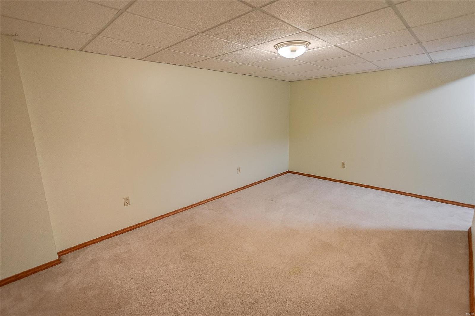259 South Breidecker Street Columbia, IL 62236 - Photo 47 of 51 Gallery Image 47
