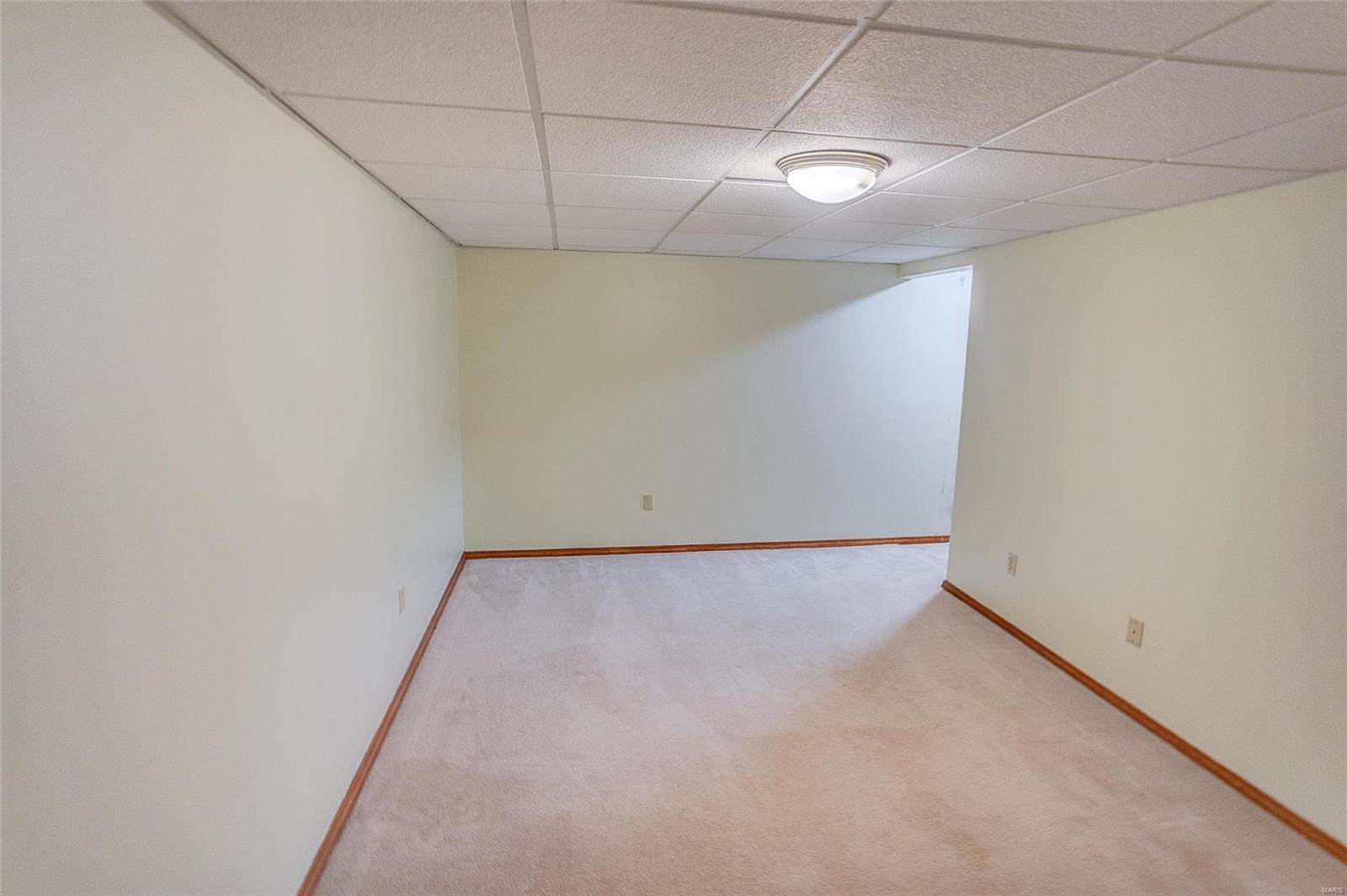 259 South Breidecker Street Columbia, IL 62236 - Photo 48 of 51 Gallery Image 48