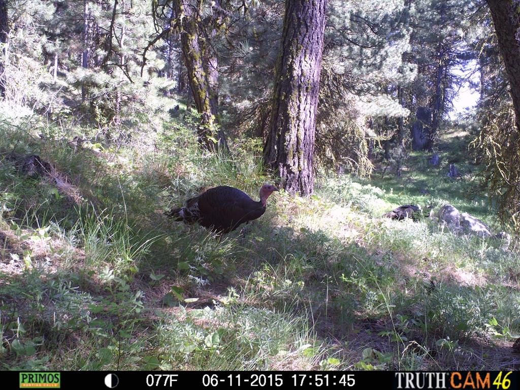 L16-b1 Lantern Way, Unit 16 Cascade, ID 83611 - Photo 39 of 39