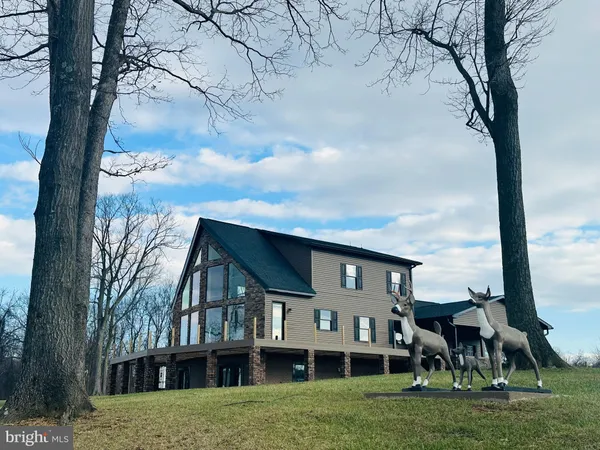 a view of house with a big yard and large trees