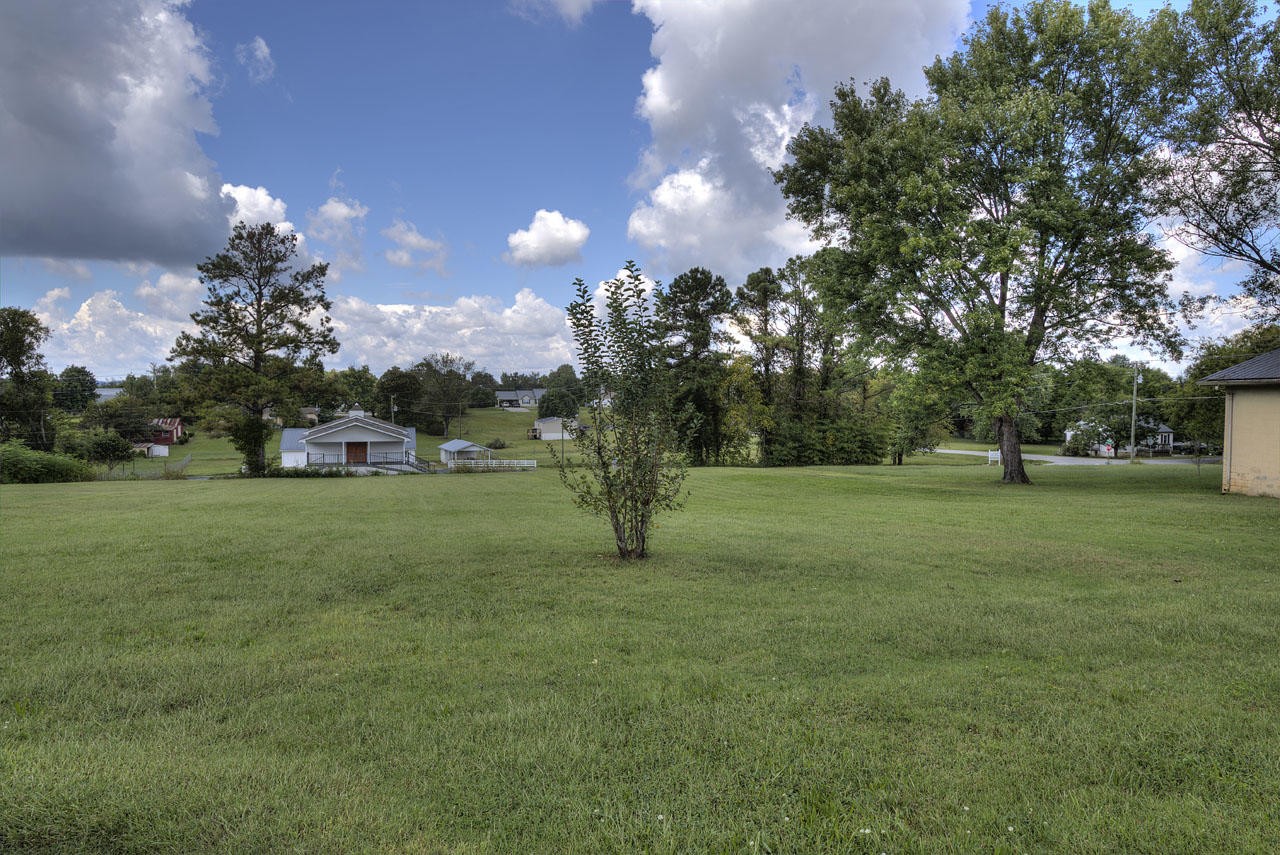 102 Stephens Road Greenback, TN 37742 - Photo 11 of 31 a park with lots of trees