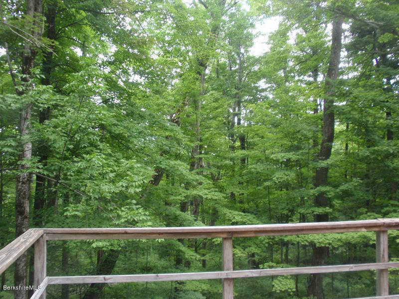 248 Stebbins Road Otis, MA 01253 - Photo 4 of 16 a view of a yard with a tree