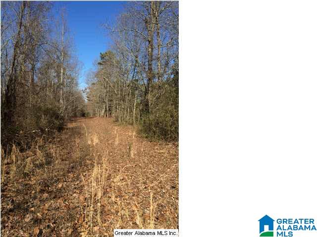 3703 Co Highway 24 Springville, AL 35146 - Photo 25 of 28