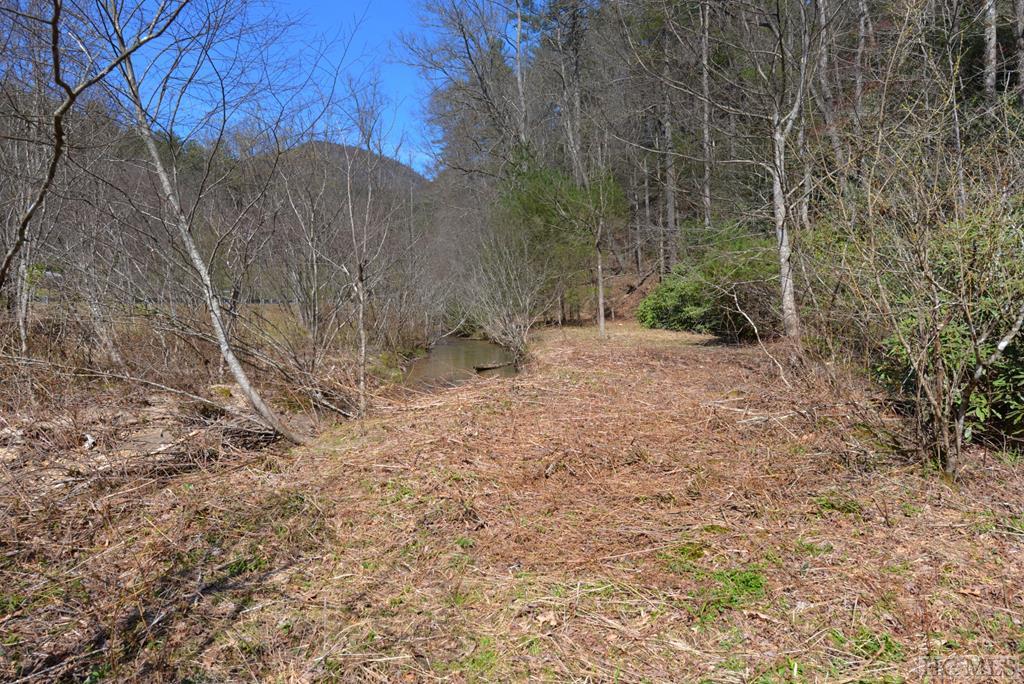 798 Sassafras Gap Road Highlands, NC 28741 - Photo 7 of 20 Gallery Image 7