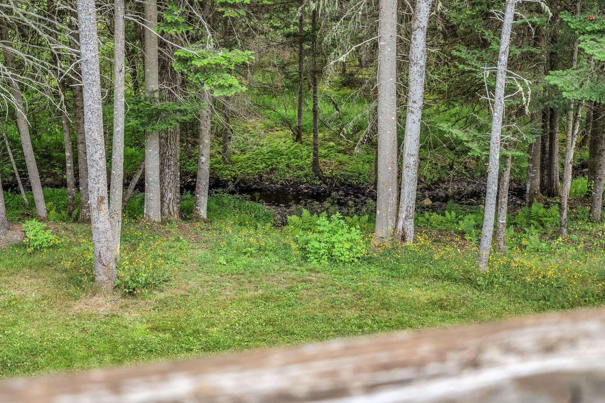 658 Mingo Loop Road Rangeley, ME 04970 - Photo 50 of 76 64-web-or-mls-658-mingo-loop-rd