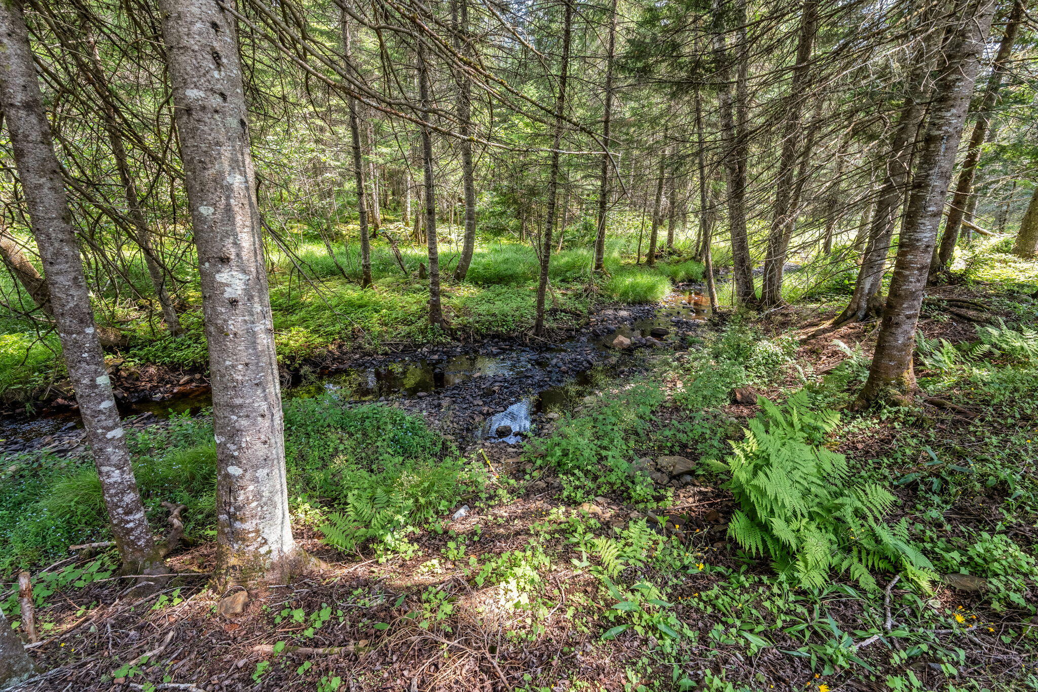 658 Mingo Loop Road Rangeley, ME 04970 - Photo 59 of 76 76-web-or-mls-658-mingo-loop-rd
