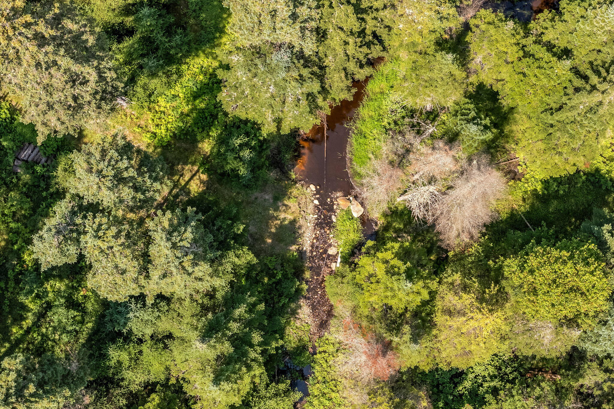 658 Mingo Loop Road Rangeley, ME 04970 - Photo 74 of 76 16-web-or-mls-658-mingo-loop-rd