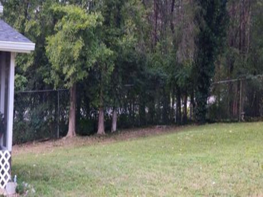 111 Sanitarium Road Madison, TN 37115 - Photo 2 of 5 a view of a backyard
