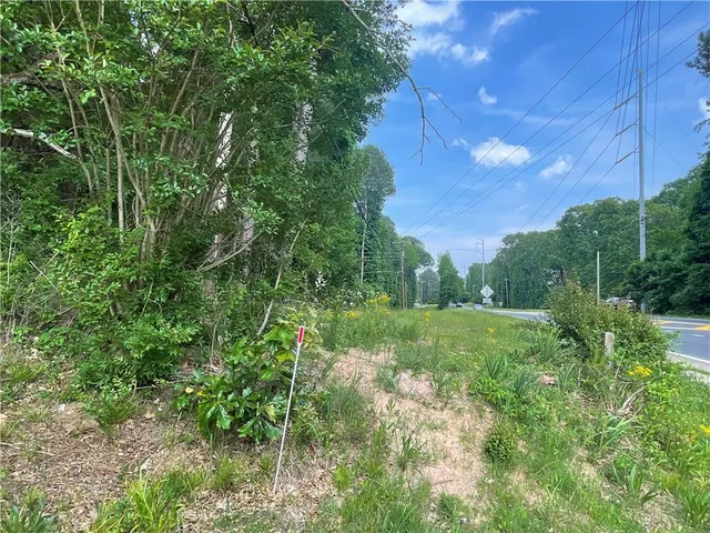 a big yard with lots of green space and trees