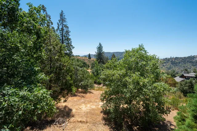 a balcony view with a potted plant
